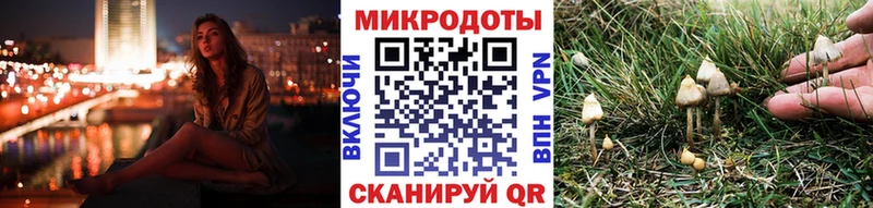Галлюциногенные грибы Psilocybe  где купить наркотик  Невель 